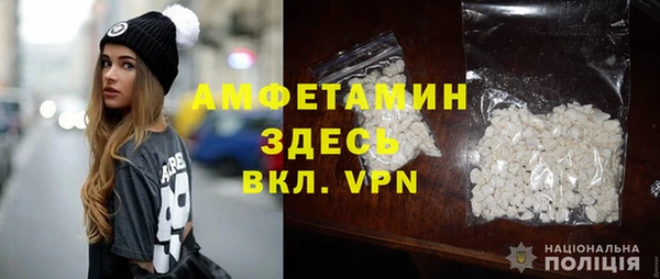 спиды Каменногорск