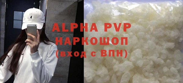 спиды Каменногорск