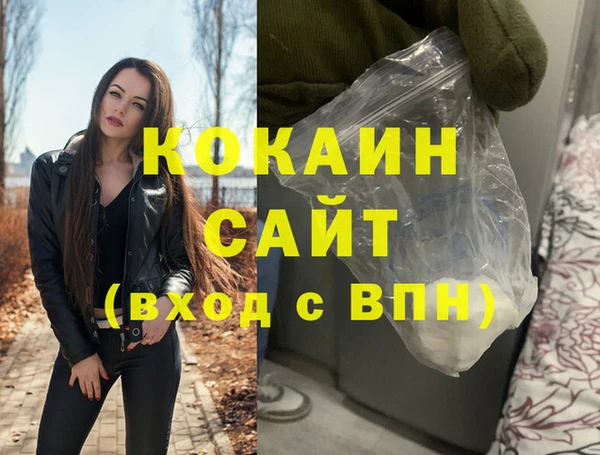 твердый Инта
