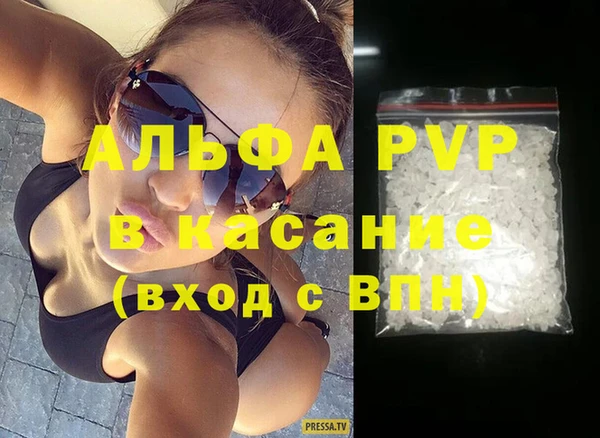 спиды Каменногорск