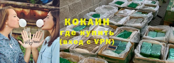 спиды Каменногорск