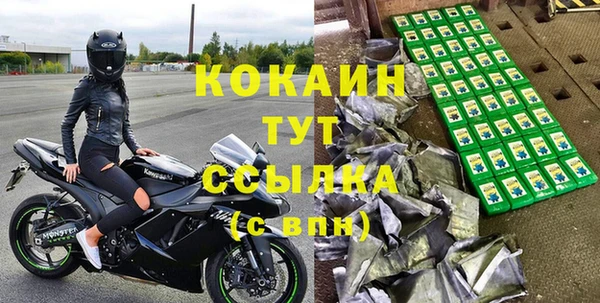 спиды Каменногорск