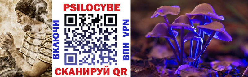 Купить где  Билибино  Псилоцибиновые грибы GOLDEN TEACHER 